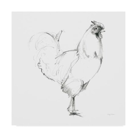 Avery Tillmon 'Rooster II Dark Square' Canvas Art,35x35